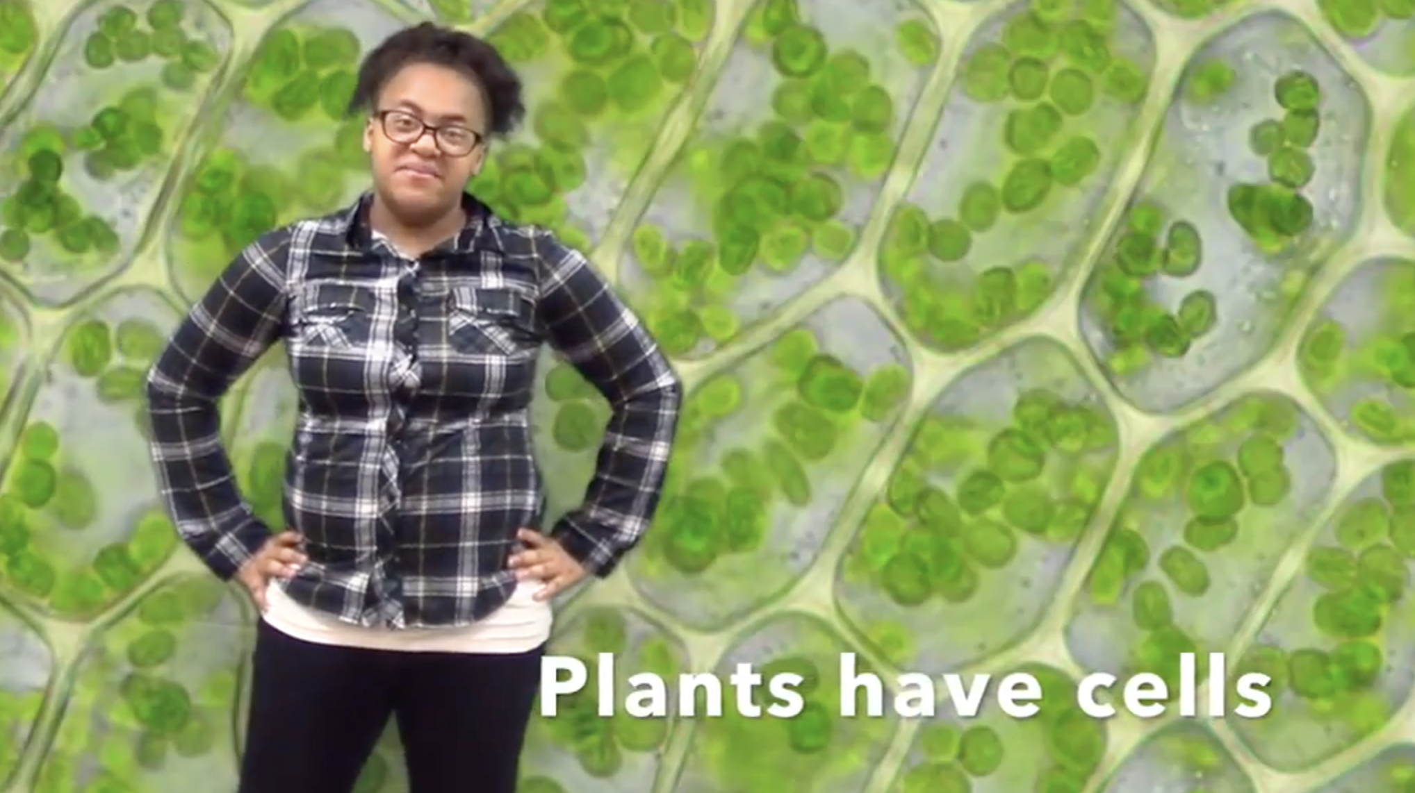 Interactive Lesson: Characteristics of Plants